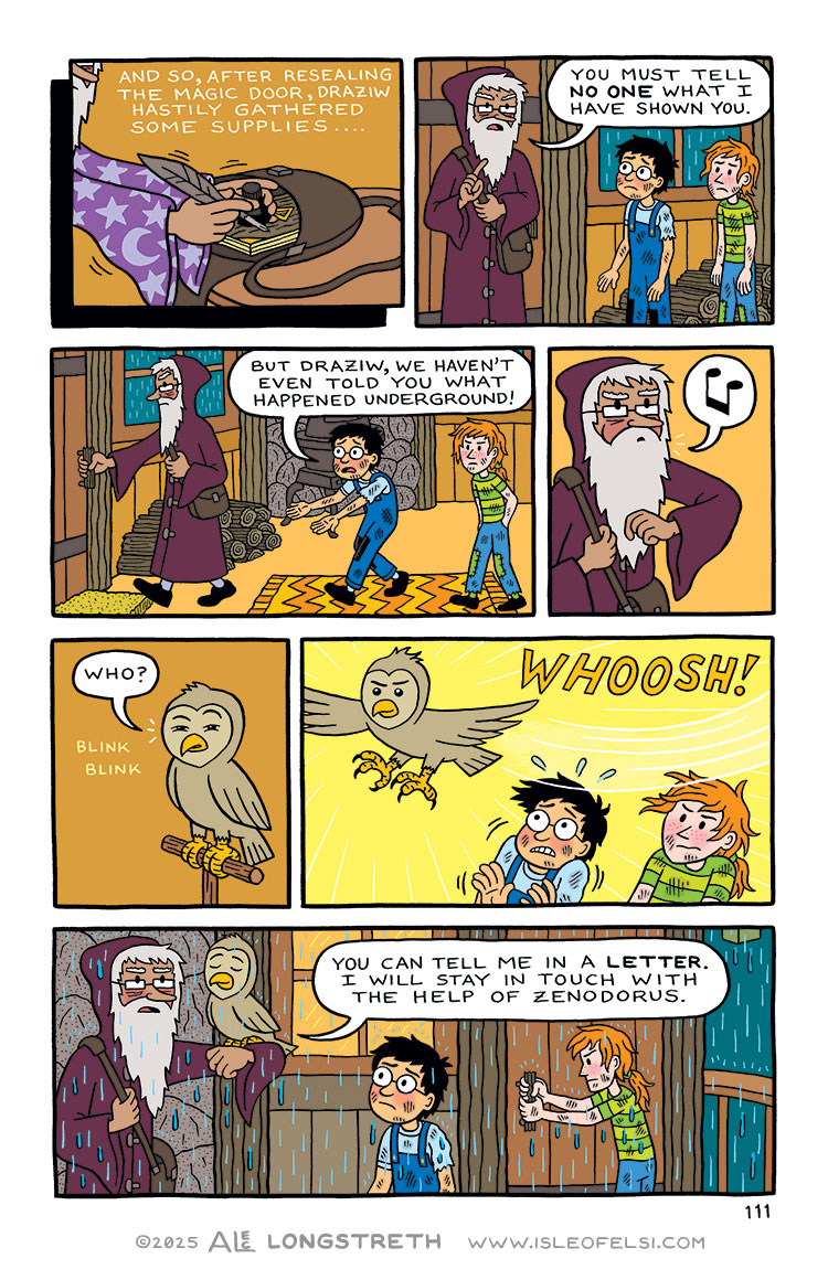 Page 111